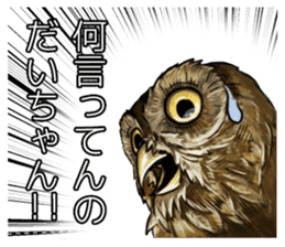 DAICHAN of the Owl sticker #11647890