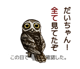 DAICHAN of the Owl sticker #11647895