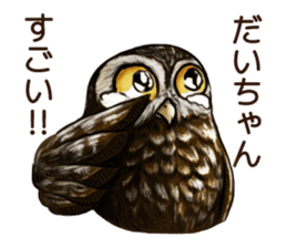 DAICHAN of the Owl sticker #11647896