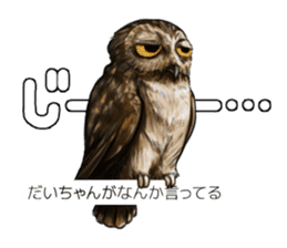 DAICHAN of the Owl sticker #11647897