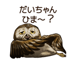 DAICHAN of the Owl sticker #11647898