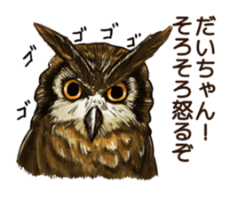 DAICHAN of the Owl sticker #11647900
