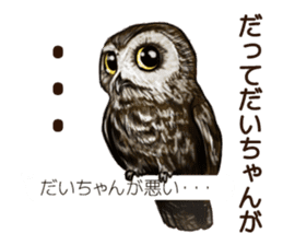 DAICHAN of the Owl sticker #11647901