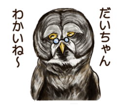 DAICHAN of the Owl sticker #11647902