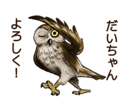 DAICHAN of the Owl sticker #11647904