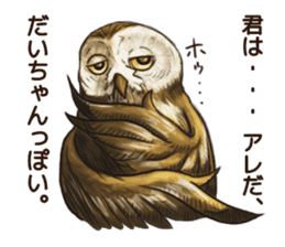 DAICHAN of the Owl sticker #11647907