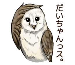 DAICHAN of the Owl sticker #11647909