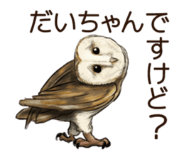 DAICHAN of the Owl sticker #11647910