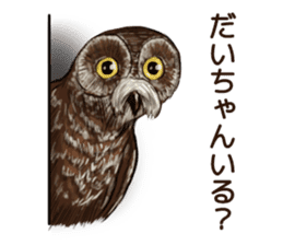 DAICHAN of the Owl sticker #11647911