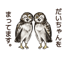 DAICHAN of the Owl sticker #11647915