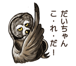 DAICHAN of the Owl sticker #11647916