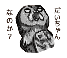 DAICHAN of the Owl sticker #11647918