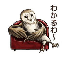 DAICHAN of the Owl sticker #11647926
