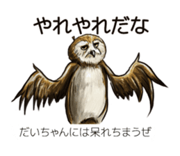 DAICHAN of the Owl sticker #11647927