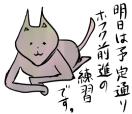 Engage not cat sticker #11648417