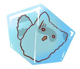 Fluffy raccoon sticker #11648854