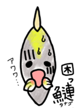 Learn in the sticker of fish sticker #11648892