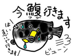 Learn in the sticker of fish sticker #11648897