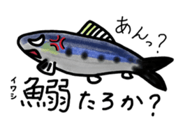 Learn in the sticker of fish sticker #11648908