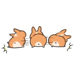 Sticker of Corgi 3 (English version) sticker #11649390