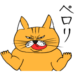 Chivalrous spirit cat