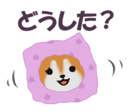 Kutsushita shiba-chan sticker #11651223