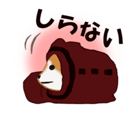 Kutsushita shiba-chan sticker #11651227