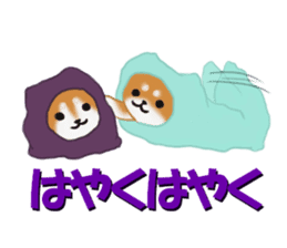 Kutsushita shiba-chan sticker #11651229