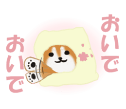 Kutsushita shiba-chan sticker #11651231