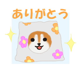 Kutsushita shiba-chan sticker #11651233