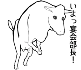 White species sticker #11652026