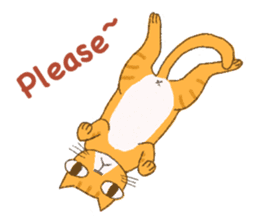 Big Eyes Cat - Mr. Tiger sticker #11652691