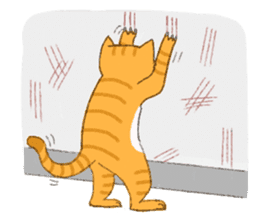 Big Eyes Cat - Mr. Tiger sticker #11652713