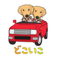 Go!Go!Golden Retriever 4! sticker #11653249