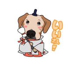 Go!Go!Golden Retriever 4! sticker #11653265