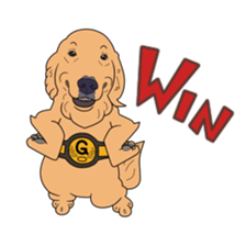 Go!Go!Golden Retriever 4! sticker #11653274