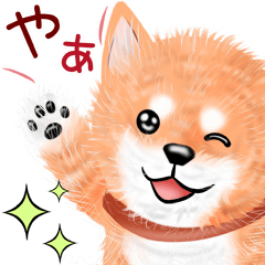 nuisiba early summer