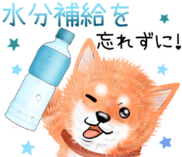 nuisiba early summer sticker #11654334