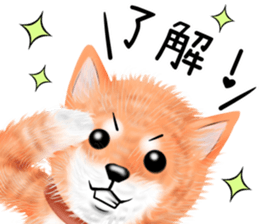 nuisiba early summer sticker #11654343