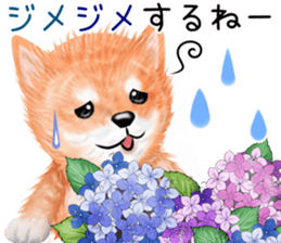 nuisiba early summer sticker #11654360