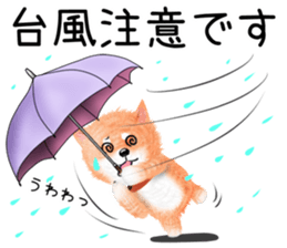 nuisiba early summer sticker #11654362