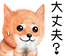 nuisiba early summer sticker #11654365