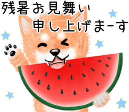 nuisiba early summer sticker #11654367