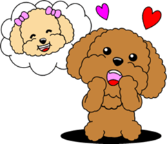 Lovely sticker of Toy Poodle sticker #11655328