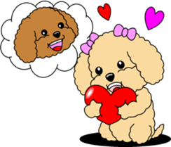 Lovely sticker of Toy Poodle sticker #11655329