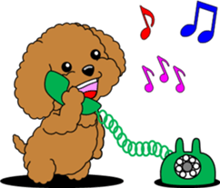Lovely sticker of Toy Poodle sticker #11655330
