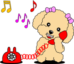Lovely sticker of Toy Poodle sticker #11655331
