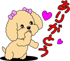 Lovely sticker of Toy Poodle sticker #11655335