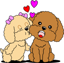 Lovely sticker of Toy Poodle sticker #11655338