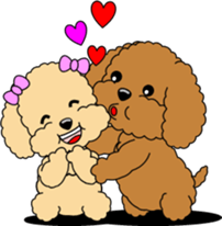 Lovely sticker of Toy Poodle sticker #11655339